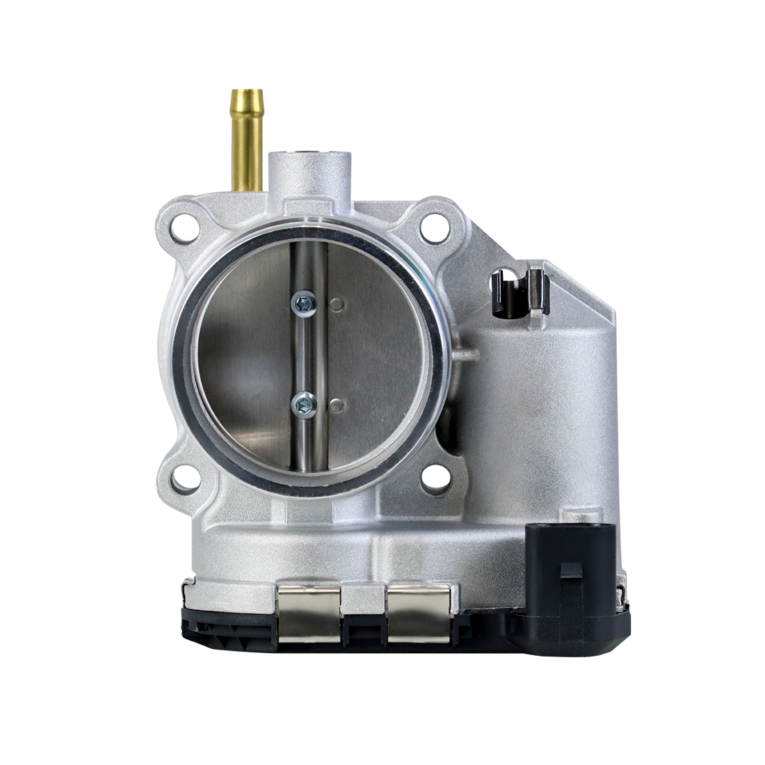 CORPO DE BORBOLETA TBI